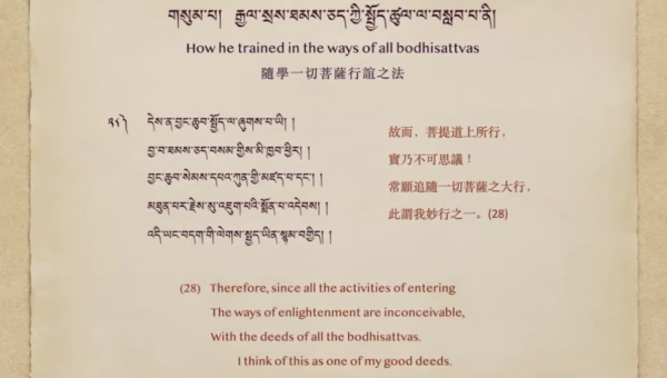 The Hazards of Dharmic Dialogue Rooted in Attachment 